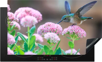 Produktbild von KitchenYeah© Herdabdeckplatte Blumen - Vogel - Kolibri , 91x52cm, Küche Deko, Glaskeramikkochfeld Herdabdeckung, Abdeckplatte fùr Kochfeld