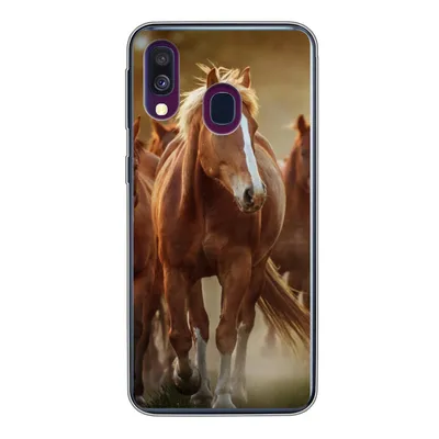 Produktbild von MuchoWow® Handyhülle Schutzhülle Hülle für Samsung Galaxy A40 Pferde - Licht - Natur Silikon Softcase Handy Hülle - Handy-Tasche