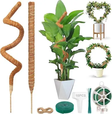 Image de Support pour plantes, 160 cm de large, 7 mm, pour tuteurs en fibre de coco