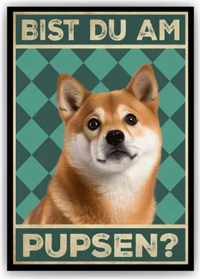 Produktbild von Shiba Inu - Bist du am Pupsen? Hunde Poster Badezimmer Gästebad Wandbild Klo Toilette Dekoration Lustiges Gäste-WC Bild DIN A4 – DIN A4 (21x29.7cm)