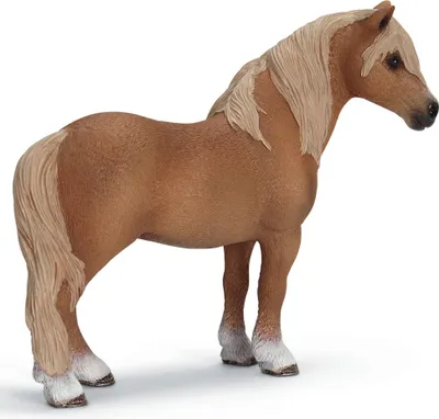 Produktbild von Schleich - 13692 -  Dartmoor Hengst