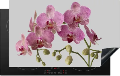Produktbild von KitchenYeah© Herdabdeckplatte Orchideen auf grauem Hintergrund , 83x51cm, Küche Deko, Glaskeramikkochfeld Herdabdeckung, Abdeckplatte fùr Kochfeld