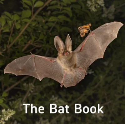 Produktbild von Nature Book Series: The Bat Book