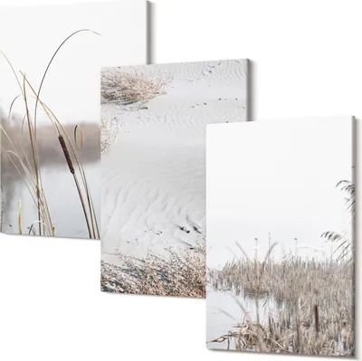Produktbild von Leinwandbild – Wandbild – Leinwandbilder – Kunstdruck – Polycanvas – Modern – Mehrteilig – 3-Teilig Set – Hochwertig – Geruchslos – Lichtecht – Fertig Aufgespannt – 40x60 Cm Je Teil - Zarte Sommeransichten der Wasservegetation