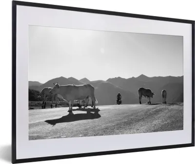 Produktbild von MuchoWow® MuchoWow® Gerahmtes Poster Schottische Hochlandrind - Licht - Berge - Natur 60x40 cm - Poster mit zchwarzem Bilderrahmen - Schlafzimmer - Plakat in Rahmen - Drucken