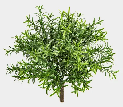 Produktbild von artplants.de Deko Rosmarin Orsola auf Steckstab, crossdoor, grün, 30cm - Künstliche Küchenkräuter