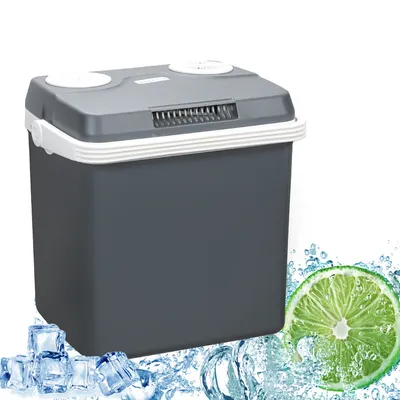 Immagine prodotto di Frigorifero portatile elettrico Jiubiaz da 32 L, mini-frigorifero da 230 V e 12 V per auto e campeggio, con funzioni di raffreddamento e riscaldamento | Modalità ECO (grigio)