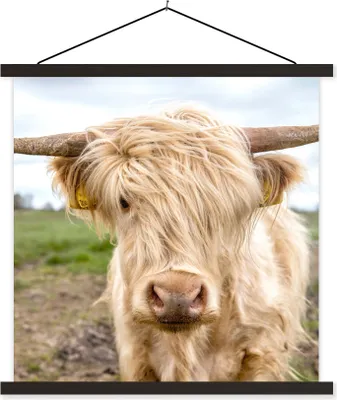 Produktbild von MuchoWow® Textilposter Schottische Hochlandrind - Licht - Landschaft 90x90 cm mit schwarzem Rahmen - Magnetisches