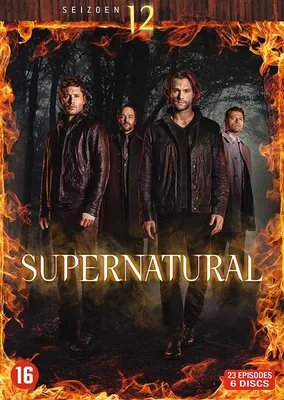 Produktbild von Supernatural - Saison 12