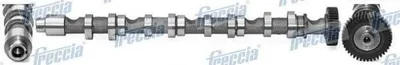 Produktbild von FRECCIA CM05-2196 Nockenwelle Auslass für VW GOLF VI (5K1) Polo Schrägheck (6R1, 6C1) TIGUAN (5N) für AUDI A4 Avant (8K5, B8) A6 Avant (4G5, 4GD, C7)