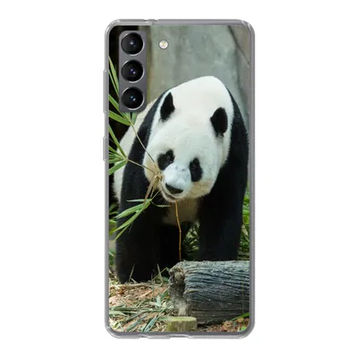 Produktbild von MuchoWow® Handyhülle Schutzhülle Hülle für Samsung Galaxy S21 Panda - Baumstamm - Höhle Silikon Softcase Handy Hülle - Softcase