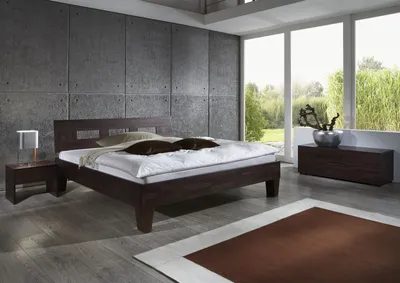 Produktbild von Massivholzbett Schlafzimmerbett  - Ritz - Bett Buche -Wenge 120x220 cm