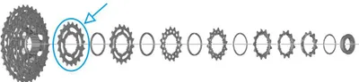 Immagine prodotto di Pignone Shimano per CS-R7100, denti: 19 denti