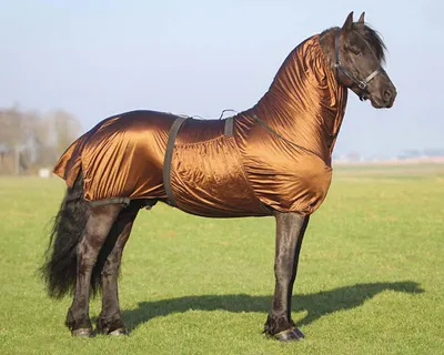 Immagine prodotto di Tappeto per eczema QHP Bigneck