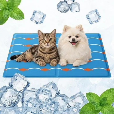 Produktbild von Famanu Kühlmatte für Hunde und Katzen, selbstkühlend, 50 x 65 cm, ideal für drinnen und draußen