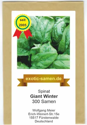 Produktbild von Spinat - Winterspinat für Winter- und Herbsternte – Giant Winter - großblättrig – 300 Samen