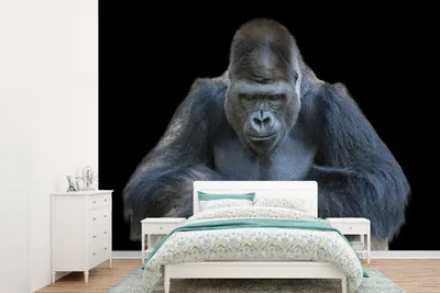 Produktbild von MuchoWow® Fototapete für Wohnzimmer oder Schlafzimmer Wandtapete Vinyl Motivtapete Ein Gorilla schaut eindrucksvoll in die Kamera - 360x260 cm - Wohnzimmer tapete