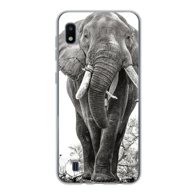 Produktbild von MuchoWow® Handyhülle Schutzhülle Hülle für Samsung Galaxy A10 Elefant - Porträt - Tiere - Schwarz und weiß Silikon Softcase Handy Hülle - Schutzhülle