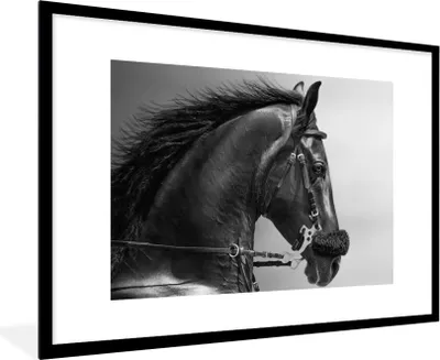 Produktbild von MuchoWow® Gerahmtes Poster Pferde - Schwarz - Porträt - Tiere 90x60 cm - Poster mit Schwarzem Bilderrahmen Wandposter Rahmen Foto Bilder - Wanddekoration - Fotos