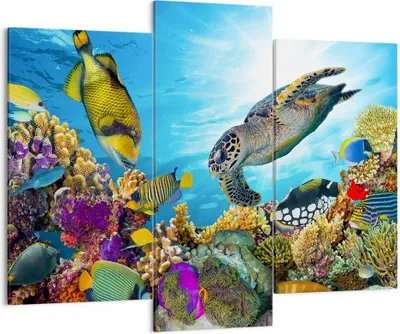 Produktbild von Bild auf Leinwand - Leinwandbild - Riff Koralle Fisch - 130x100cm - Wand Bild - Wanddeko - Leinwanddruck - Bilder - Kunstdruck - Wanddekoration - Leinwand bilder - Wandkunst - CB130x100-3704