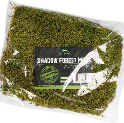 Immagine prodotto di Terrario Shadow Forest Moss - muschio naturale 35x28cm Terrario