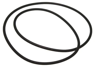 Image de Kärcher Rundriemen EPDM