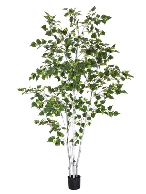 Immagine prodotto di EUROPALMS Betulla, pianta artificiale, 210 cm