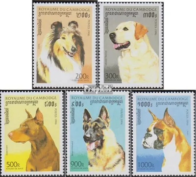Produktbild von Briefmarken Kambodscha 1996 Mi 1644-1648 (kompl.Ausg.) postfrisch Hunderassen