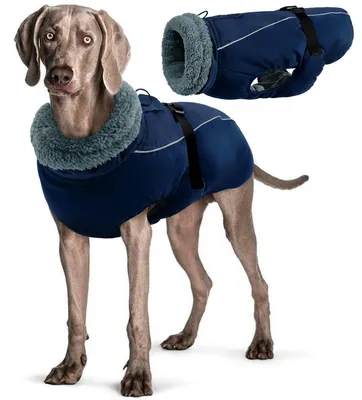 Immagine prodotto di Cappotto impermeabile per cani, modello invernale, giacca calda, colore blu navy, taglia 3XL
