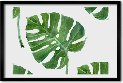 Produktbild von Bild 60x40 MDF-Rahmen, Wandkunst monstera