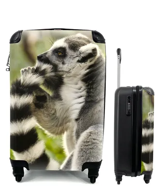 Produktbild von MuchoWow® Koffer Handgepäck Trolley Rollkoffer Kleine Reisekoffer mit 4 Rollen - Affe - Tier - Ringschwanzlemur - Cabin Size < 55x40x23 cm & 55x40x20 cm - Fotokoffer - Kabinenkoffer - Boardgepäck - Reise-Box - Reisekoffer - Reisegepäck - Koffer mit Bild - Trolley für Kinder