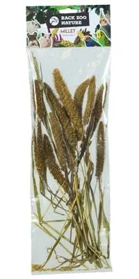 Image de Retour Zoo Nature Millet Setaria italica