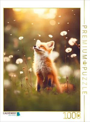 Produktbild von CALVENDO Puzzle Genießerfuchs | 1000 Teile Lege-Größe 64x48cm Foto-Puzzle für glückliche Stunden