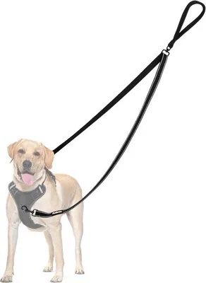 Produktbild von Famanu Anti-Zieh-Hundeleine für große und mittelgroße Hunde - Reflektierende doppelte Leine für Training