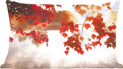Produktbild von MuchoWow® Zierkissen Sofakissen Wohnzimmer Dekokissen 50x30 cm Blätter - Sonne - Herbst - Wohnzimmerdekoration - Polster mit Photo
