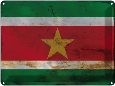 Produktbild von vianmo Blechschild 30x40 cm Suriname Wappen Flagge Abenteuer Reisen Straße Stadt Urlaub Fahne