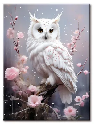 Image de Kit de peinture diamant "Hibou", 30x40 cm | Cadeau créatif | Décoration murale