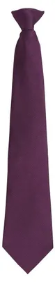 Immagine prodotto di Premier - Cravatta "Colours Orginals Fashion" LT2614 (144 cm x 10 cm) (Viola)