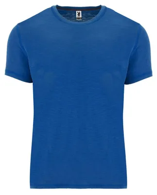 Produktbild von Roly - "Terrier" T-Shirt für Herren LT4893 (M) (Königsblau)