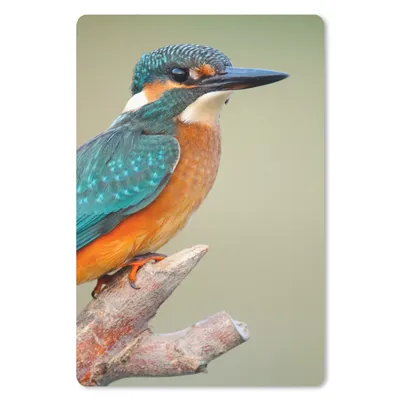 Produktbild von MuchoWow® Mauspad Mousepad Vogel - Eisvogel - Zweig 40x60 cm - Mousepads - Maus Mat - Pad - Mausunterlage - Schreibtisch Accesoire