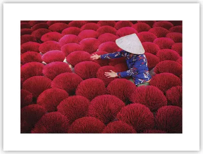 Produktbild von Poster - Poster ohne Rahmen - Trocknen Weihrauch Vietnam - 40x30 cm - Wand Bild - Wanddeko - Wandbilder - Kunstposter - Wandposter - Bilder - Kunstdruck - Wanddekoration - Wandbild - P2XAA40x30-4655