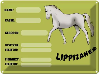 Produktbild von vianmo Blechschild 30x40 cm Pferd Lippizaner Angaben Name Besitzer