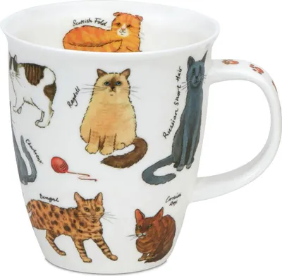 Produktbild von DUNOON Bone China Kaffeetasse 480 ml Nevis Cats Becher mit Katzenrassen Motiv