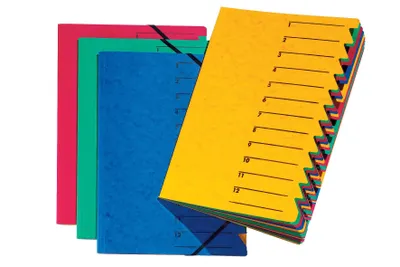 Immagine prodotto di Pagna® 21001-00 Scatola di cartone Basic Colours - A4, 30 mm, PP, sortiert