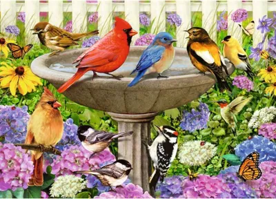 Immagine prodotto di Puzzle Ravensburger Xxl Al Bagno degli Uccelli 500 Pezzi