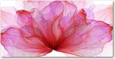 Produktbild von Tulup® Glas-Bild - 100x50 -Wandkunst - Wandbild hinter gehärtetem Sicherheitsglas  - Blumen & Pflanzen - Rosa Blume - Rosa