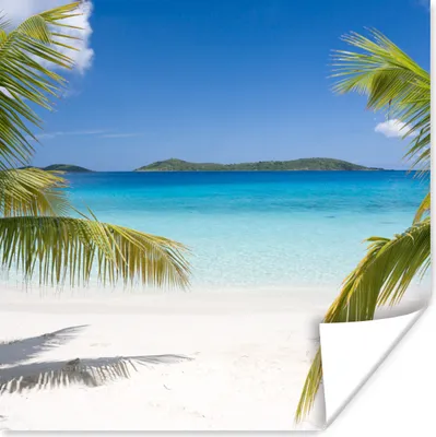 Produktbild von MuchoWow® Poster Tropische Palmen am Strand 75x75 cm - Wand Dekoration