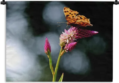 Produktbild von MuchoWow® Wandteppich Wandbehang Schmetterling - Blumen - Insekten 60x45 cm Tapisserie Dekoration Wandtuch - Das Schlafzimmer