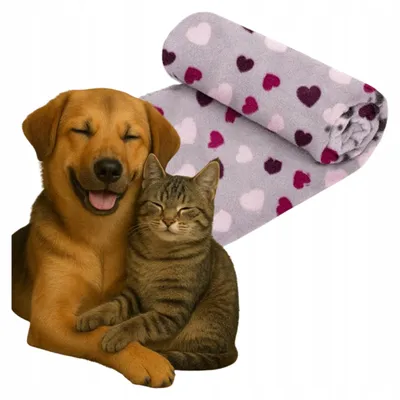 Imagen del producto de Manta polar para perros Nobleza, 160x100 cm, cálida