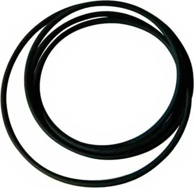 Produktbild von Elite Gürtel Schwarz  Schwarz One Size